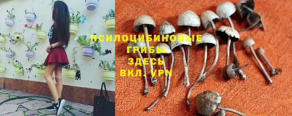 прущая мука Алексин
