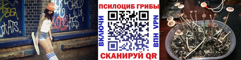 Галлюциногенные грибы Cubensis Красногорск