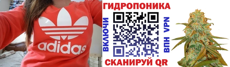 Канабис семена  Красногорск 
